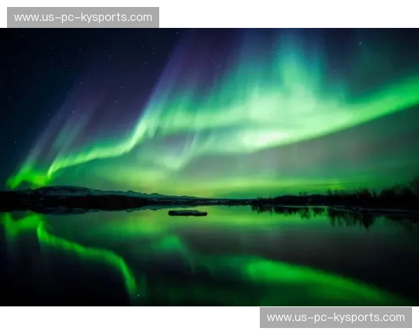 荒野与极光的博弈：在自由中放逐，还是在火花中重生？